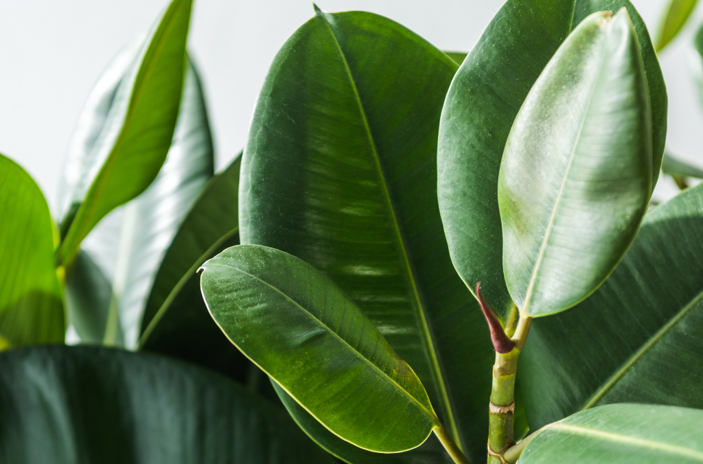 10 Simple Changes Your Office Can Make to Go Green